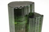 Bicolor Elbaite Watermelon Tourmaline Cluster - Brazil #217548-3